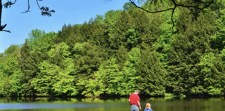 Screen Shot 2021 04 12 At 114218 Am