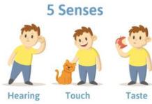 Five senses