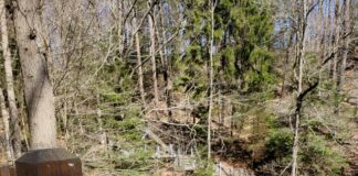 Buttermilk Falls Observation Area Courtesy Of Jen Free