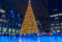 Best Events of the Month: November 2025