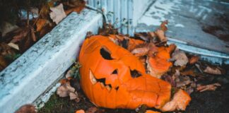 A smashed-up jack-o'-lantern