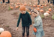 Halloween Fun in Pittsburgh: Oct. 24-25 Children picking out pumpkins at a pumpkin patch