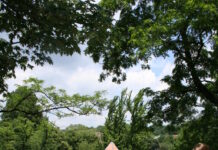 Frick Park's Blue Slide Playground