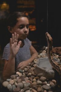 A child holding their hand up to a tank with a snake in it