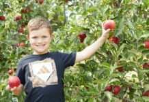A boy holding two apples, standing in front of an apple tree
