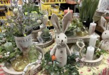 Spring Fever Festival