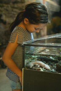 A girl in a striped shirt looks down at a pink axolotl in a tank