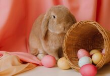 A bunny next to a basket of Easter eggs
