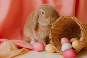 A bunny next to a basket of Easter eggs