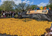 The Steel City Duck Derby