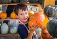 A young boy proudly holds up a pumpkin for harvest season